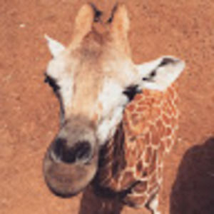 Meet your Posher, Beth